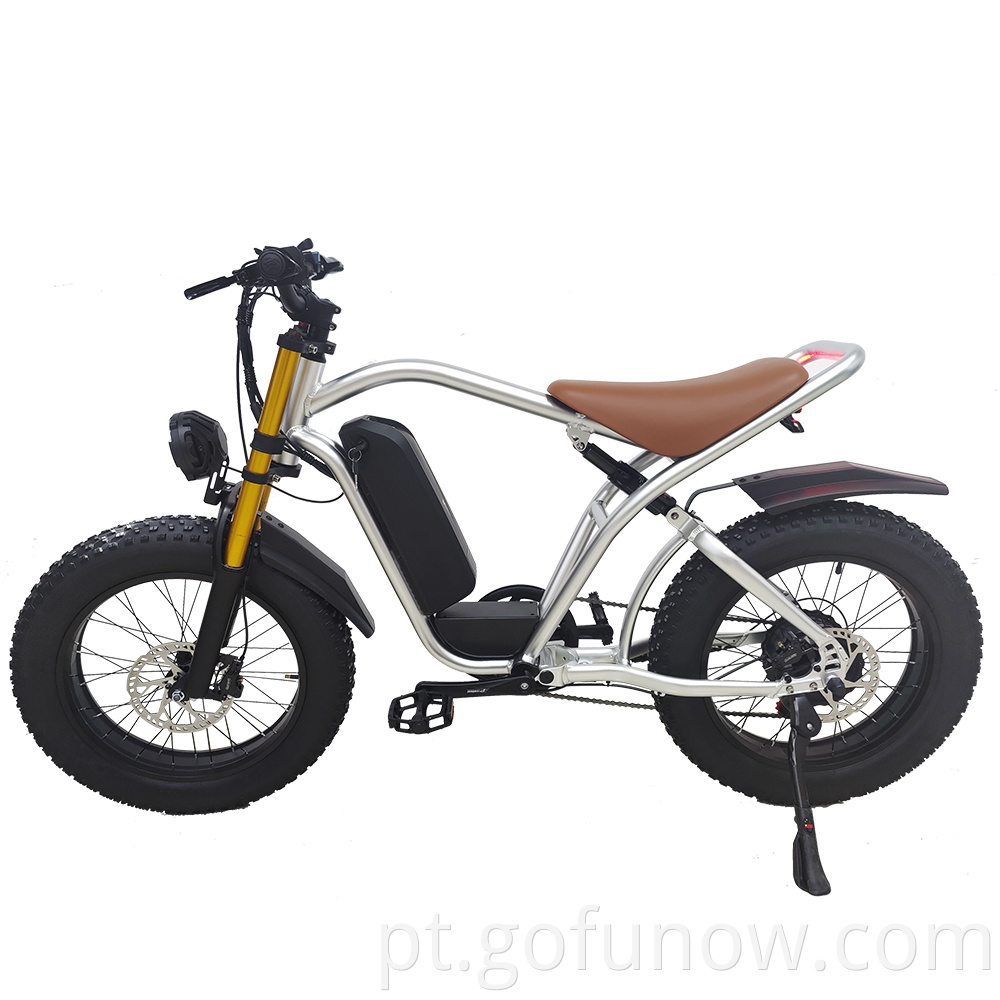 Fábrica 250W 1000W 20 polegadas Bike elétrica de pneu gordo 750W Bateria de íons de lítio Power Fatbike Man Electric Mulher Ebike Woman E Bike